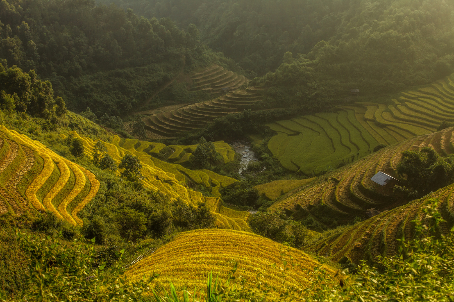 The Economic Impact of the Agri-Food Sector in Southeast Asia