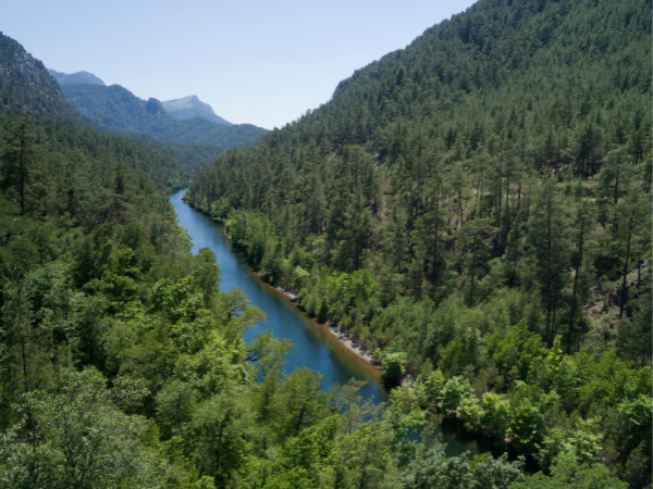 What if the move to net-zero is disorderly?