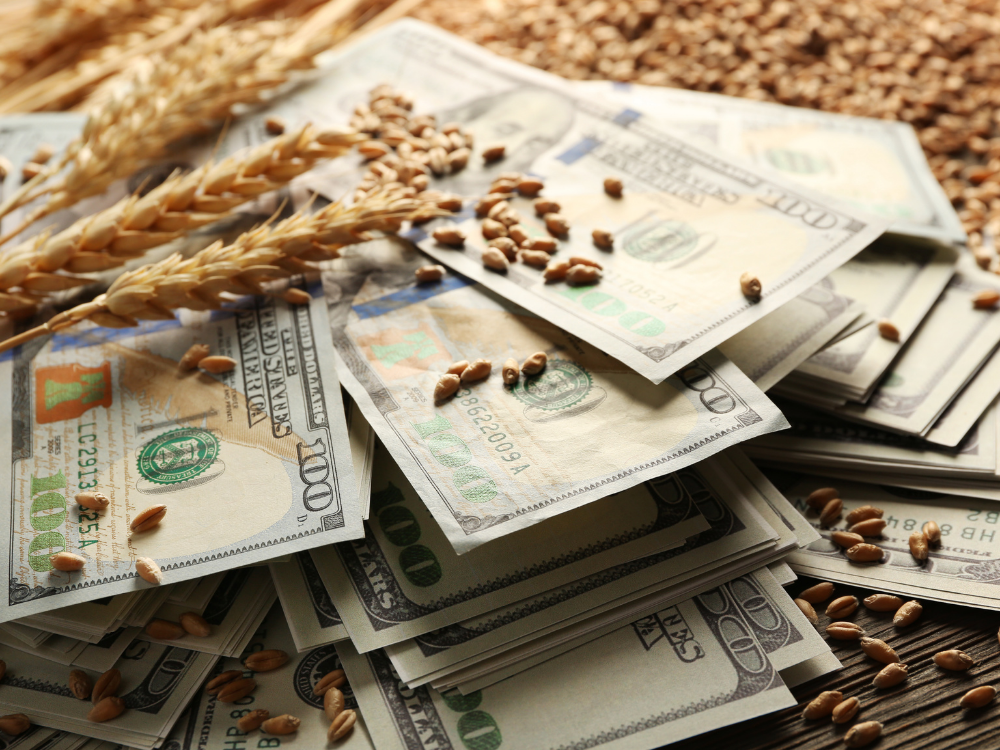 Does a greener economy mean longer-lasting inflation? Not necessarily