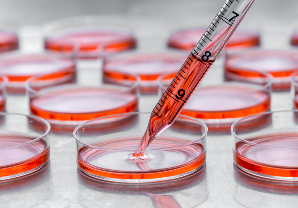 The socio-economic impact of cultivated meat in the UK