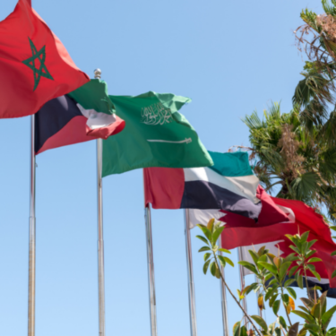 Flags of Middle East and North Africa countries