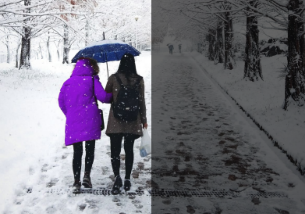 Becoming a risk concierge: From insurance provider to customer companion