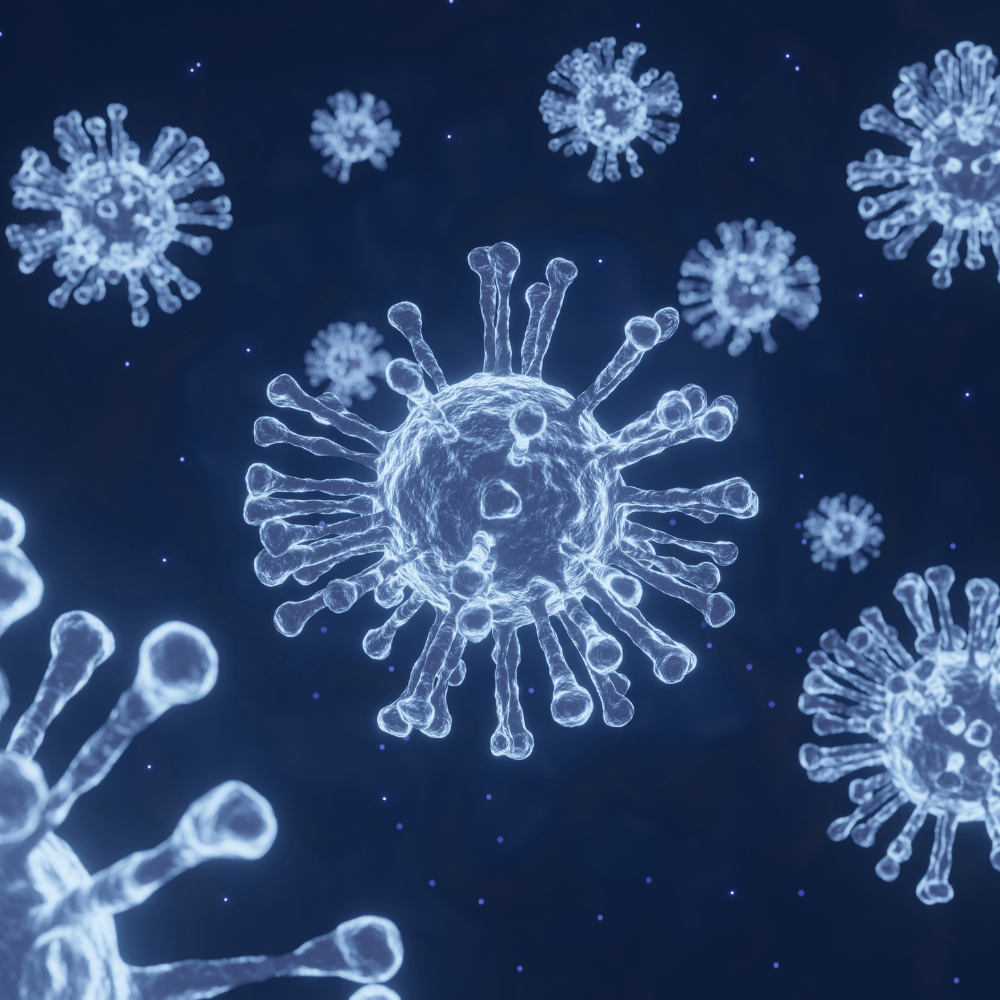 Impact of COVID-19 on the red meat processing industry