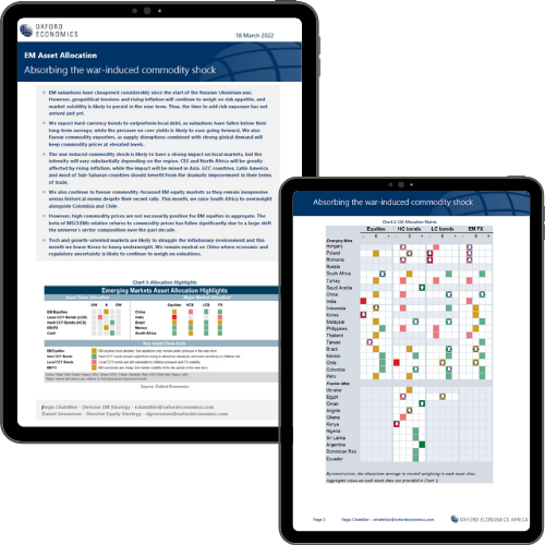 Emerging Market Asset Allocation