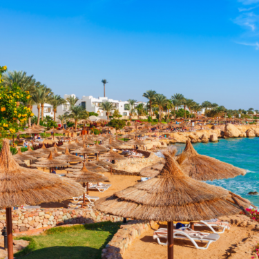 Africa Forecasting Service - Travel and Tourism Forecasts