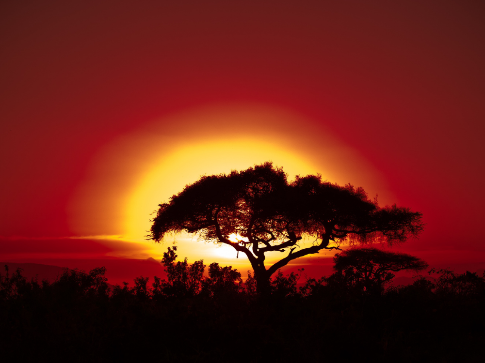 Africa Risk Reward Index 2021