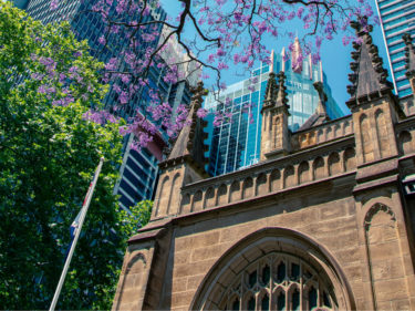 Jacaranda tree in bloom and sandstone church