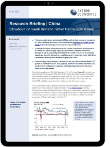 China_slowdown_on_weak_demand_rather_than_supply_issues_first_page
