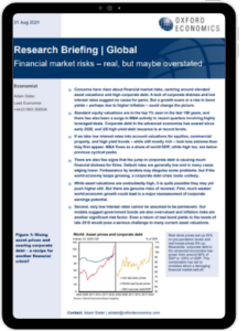 Financial market risks – real, but maybe overstated