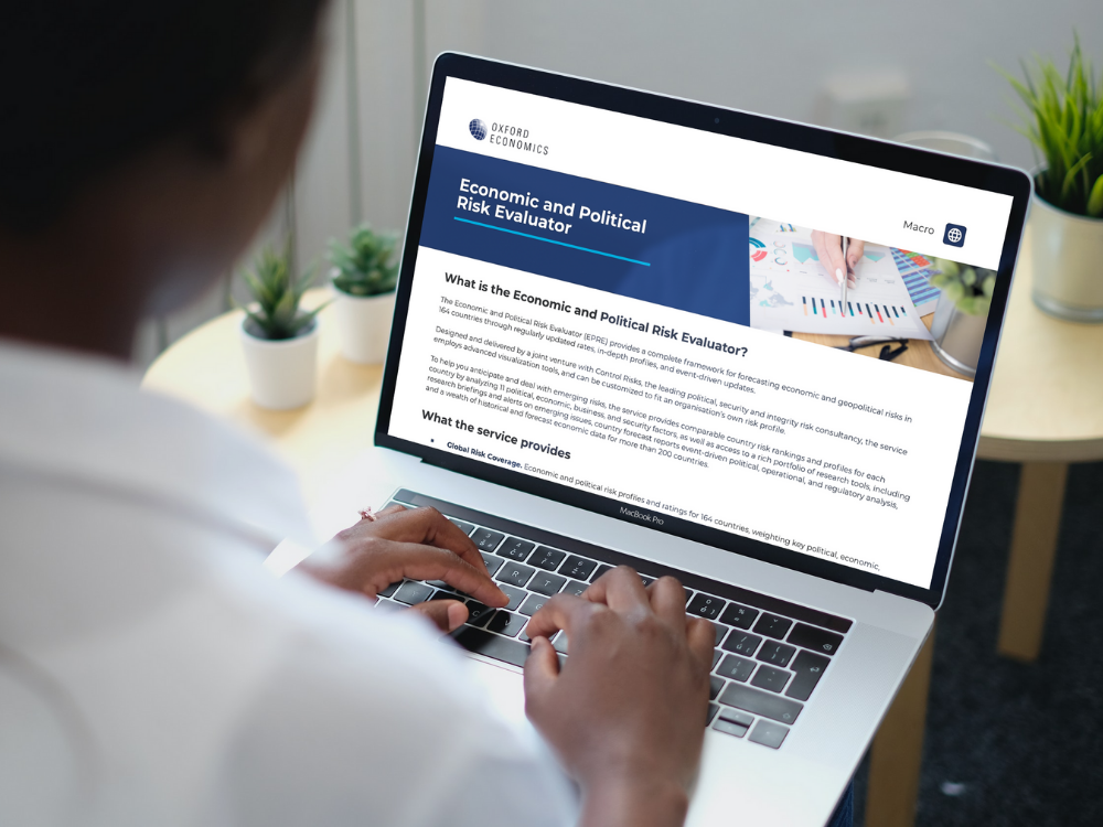 经济和政治风险评估员