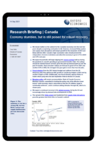 Economy stumbles, but is still poised for robust recovery - iPad