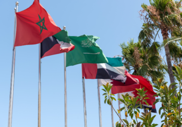 Flags of Middle East and North Africa countries