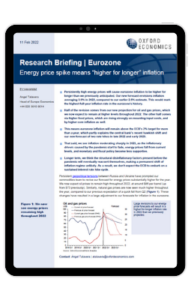 Eurozone | Energy price spike means “higher for longer” inflation