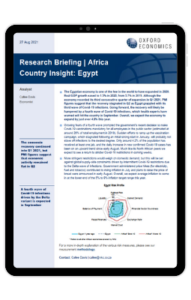 Ipad Frame-Africa-Country-Insight-Egypt-Aug-2021