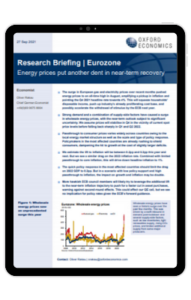 Ipad Frame-Eurozone-Energy-prices-put-another-dent-in-near-term-recovery