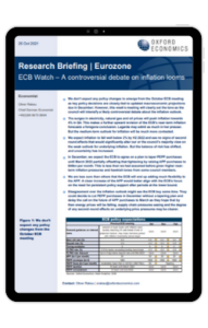 Ipad Frame - Eurozone-ECB-Watch-A-controversial-debate-on-inflation-looms