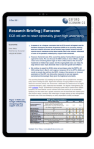 Ipad Frame - Eurozone-ECB-will-aim-to-retain-optionality-given-high-uncertainty