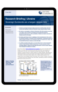 Ipad Frame - Ukraine-Sovereign-Eurobonds-are-a-bargain-despite-risks