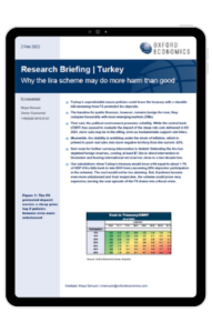 Turkey | Why the lira scheme may do more harm than good