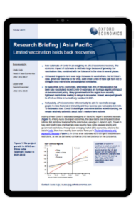 image of the research briefing