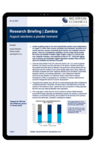 cover image of the research briefing