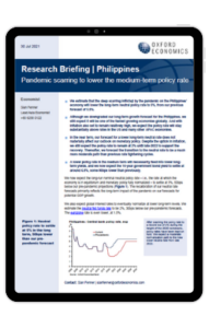 image of the research briefing