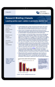 Leading parties open wallets in pandemic election bid - iPad