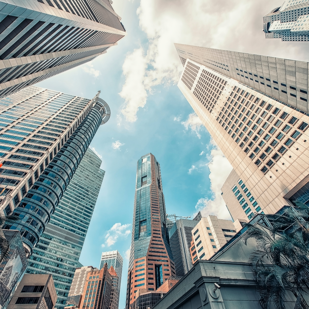 Detailed forecasts and in-depth reports