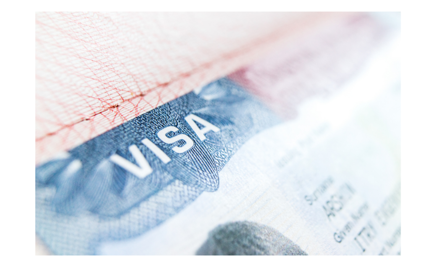 Policy analysis and market studies