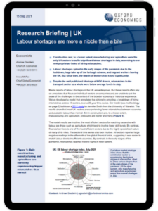 UK Labour shortages are more a nibble than a bite