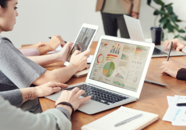 A person checking charts on the laptop