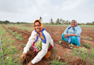 Climate change and food prices in Southeast Asia