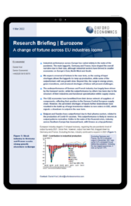 We expect a reversal of fortune in the near term, as the easing of input shortages allows the laggards to ramp up production, while some of the outperformers will see growth slow. The underperformance of German and French industry has largely been driven by the transport sector, while the outperformance by others has been due to the structure of their industries and functional specialisation within supply chains. The CEE economies have benefitted from their dense network of suppliers of components, reflecting their position in the German-Central European supply chain.