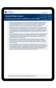Eurozone | Durable goods will turn deflationary only in 2023