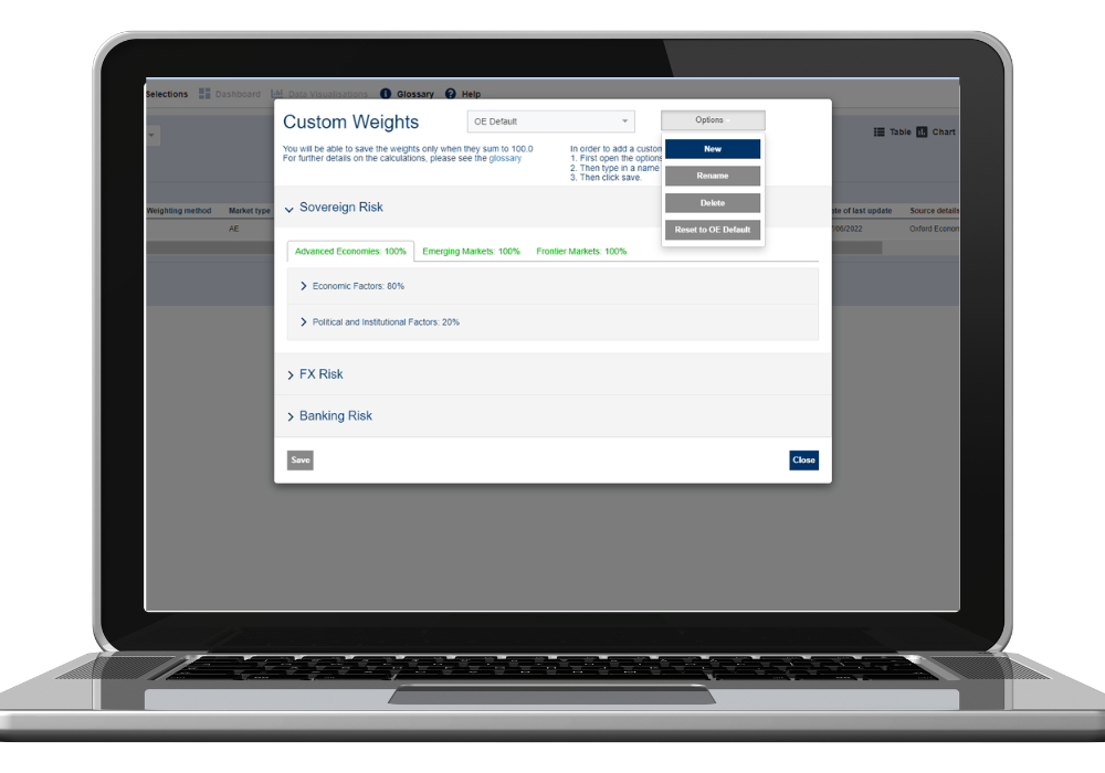 Global risk custom weights