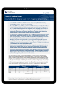 Research Briefing | Japan
