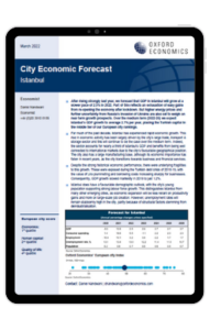 Istanbul Research Briefing