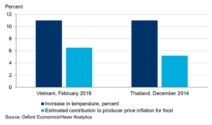 graph highlighting imact of heat waves on food