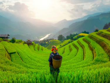 agri-food-sector-in-southeast-asia