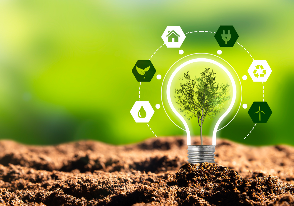 2022 Climate Check: Business’ views on climate action ahead of COP27