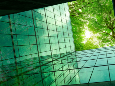 The global green economy