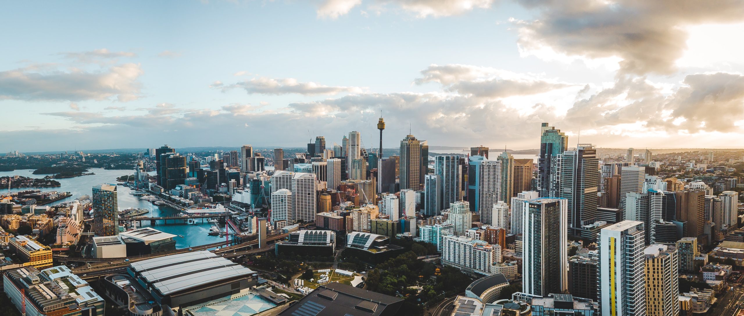 City of Sydney | Business Needs Survey 2022