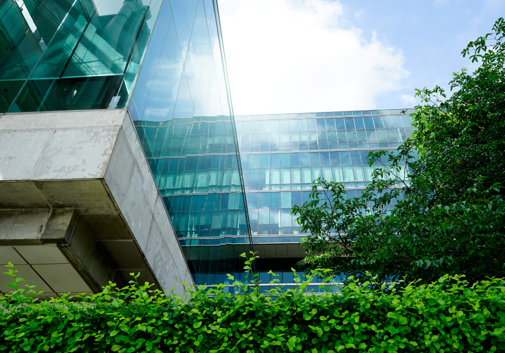 Deep Green: How data, technology and collaboration will drive the next phase of sustainability in business