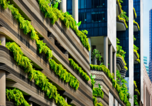 不同气候政策下影响城市经济前景的关键主题