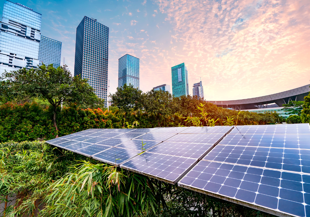 Find out how we can help you manage your sustainability and climate-related risk and disclosure requirements