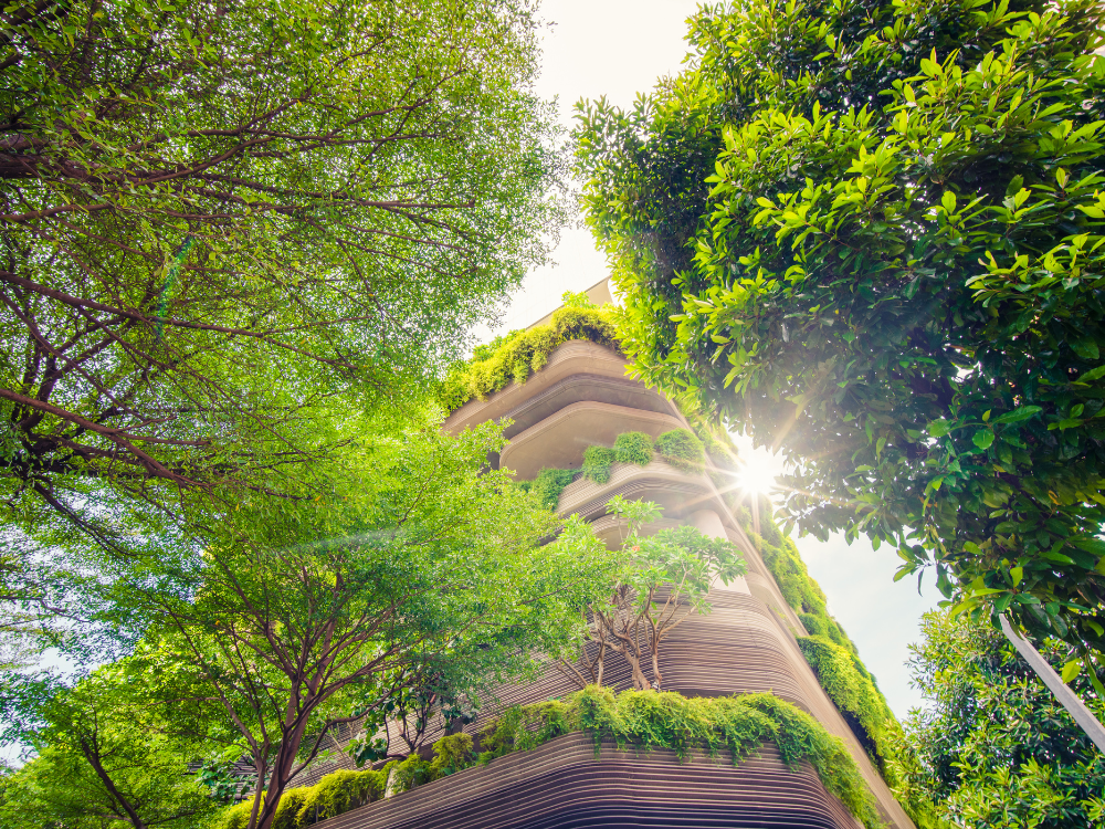 Investitionsverhalten bei nachhaltigen Finanzinstrumenten