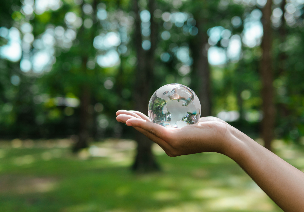 Environmental and social footprint of travel and tourism