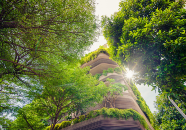 city climate scenario