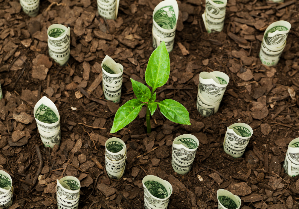 Finance and Sustainability are Natural Partners