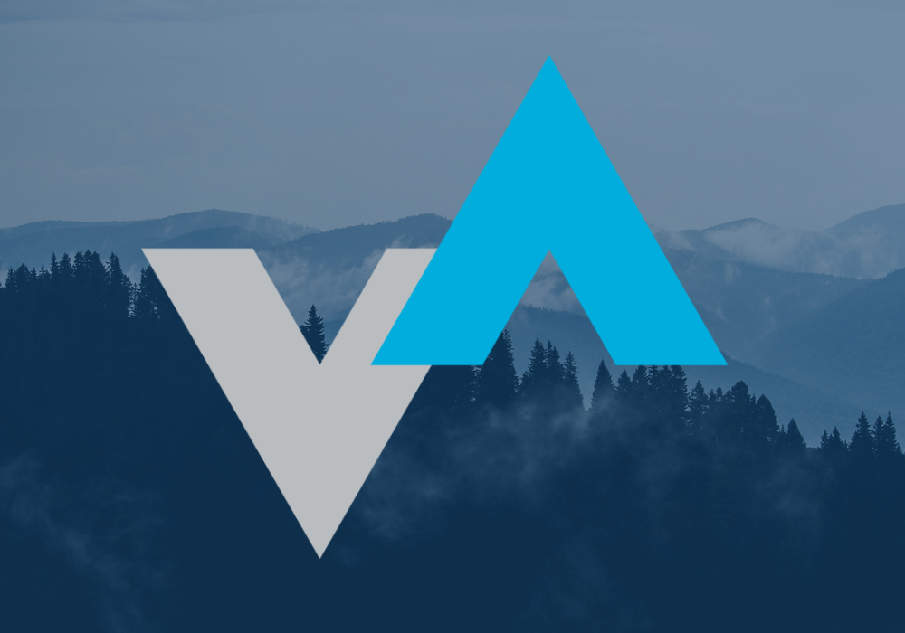 Latest reports on asset management